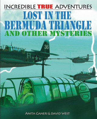 Cover image: Lost in the Bermuda Triangle and Other Mysteries 9781448866588