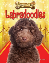 Imagen de portada: Labradoodles 9781448878574