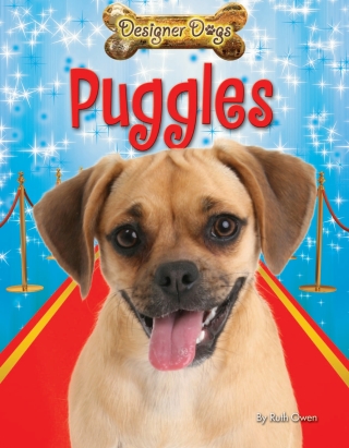 Imagen de portada: Puggles 9781448878581
