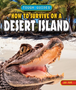 Imagen de portada: How to Survive on a Desert Island 9781448878703