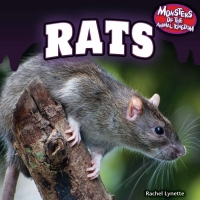 Cover image: Rats 9781448896301