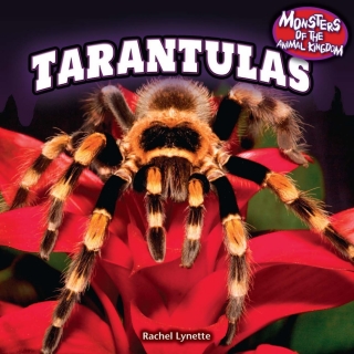 Imagen de portada: Tarantulas 9781448896325