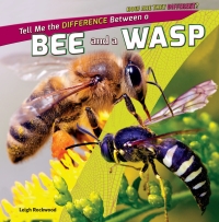 Cover image: Tell Me the Difference Between a Bee and a Wasp 9781448896394