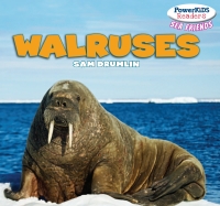 Imagen de portada: Walruses 9781448896424