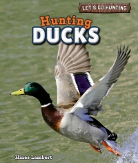 صورة الغلاف: Hunting Ducks 9781448896615