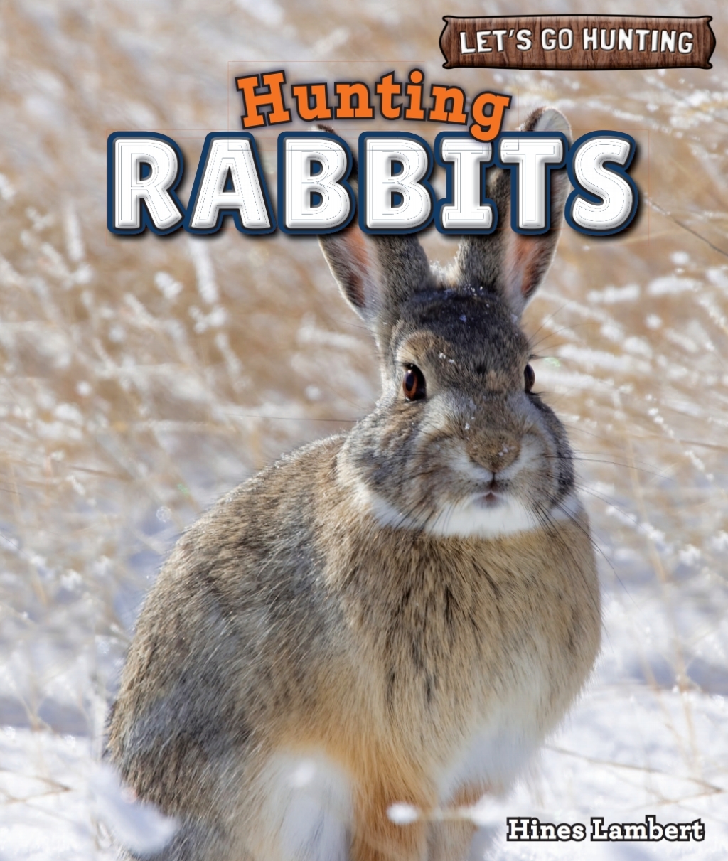 Hunting Rabbits