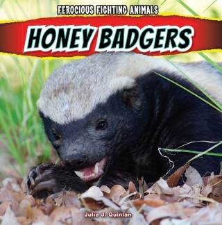 Cover image: Honey Badgers 9781448896714