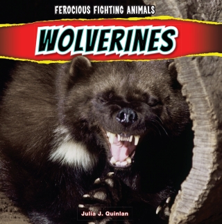 Imagen de portada: Wolverines 9781448896721