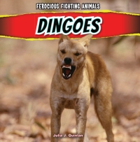 Imagen de portada: Dingoes 9781448896752