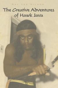 Imagen de portada: The Creative Adventures of Hawk Java 9781449011604