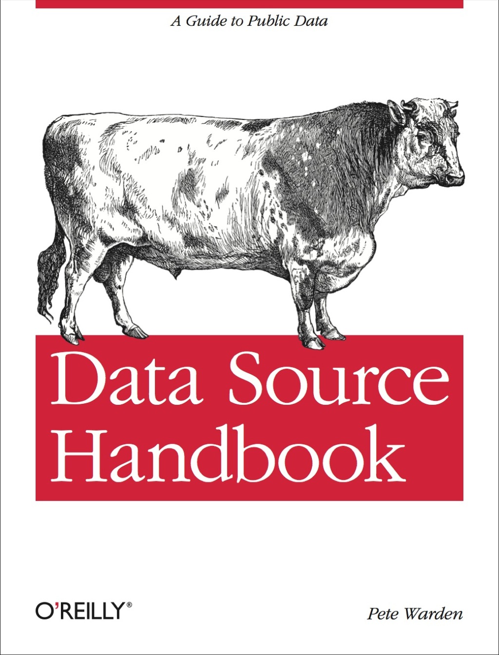 Data Source Handbook - 1st Edition (eBook Rental)