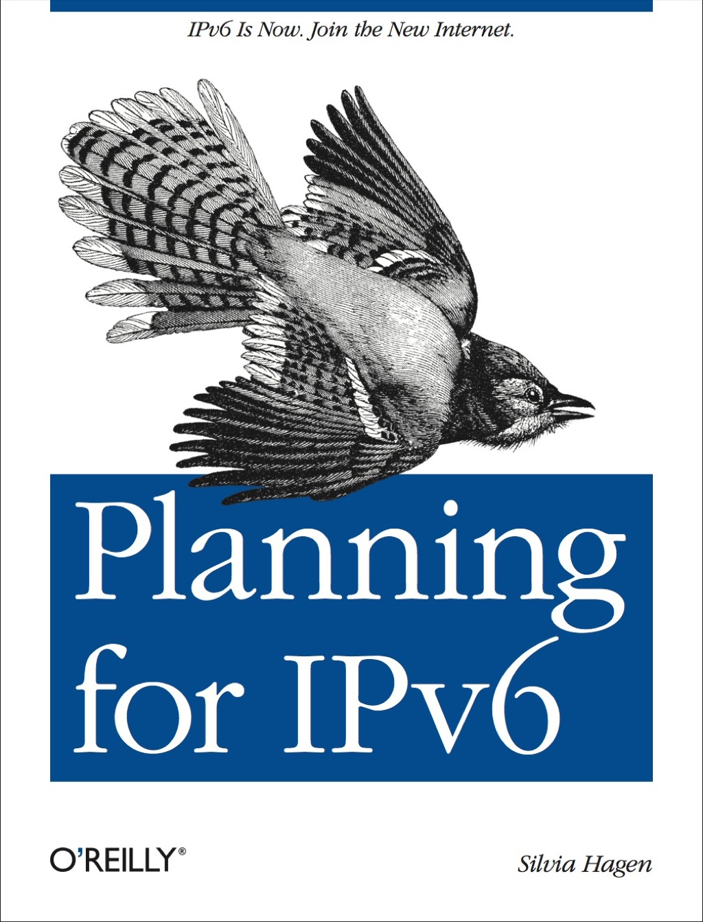Planning for IPv6 1st Edition