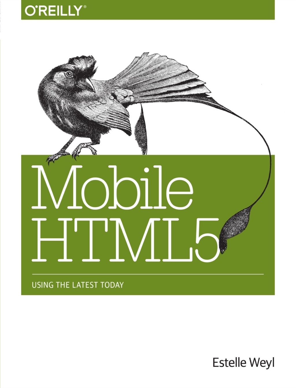 Mobile HTML5 1st Edition