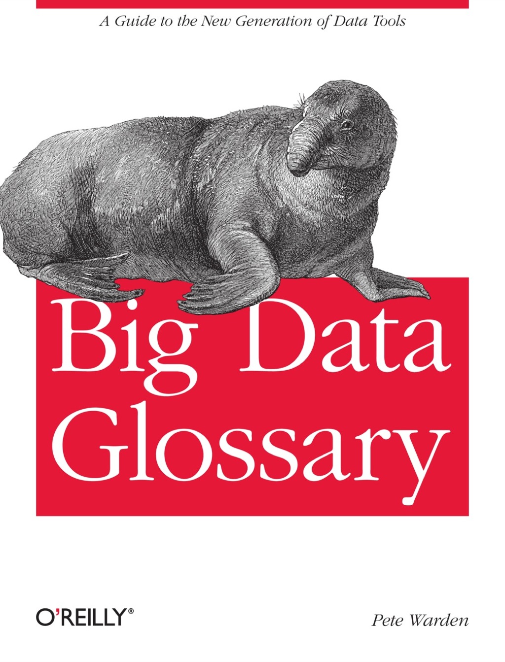 Big Data Glossary 1st Edition