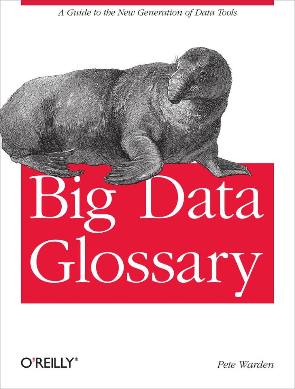 Big Data Glossary A Guide to the New Generation of Data Tools 1st Edition
