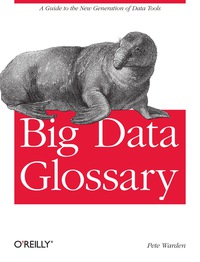 Cover image: Big Data Glossary 1st edition 9781449314590