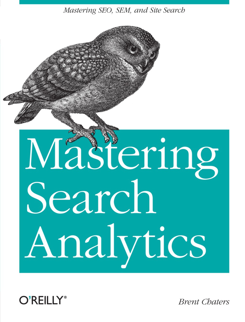 Mastering Search Analytics Measuring SEO, SEM and Site Search 1st Edition