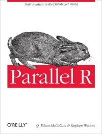 Cover image: Parallel R 1st edition 9781449309923