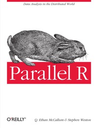 Imagen de portada: Parallel R 1st edition 9781449309923