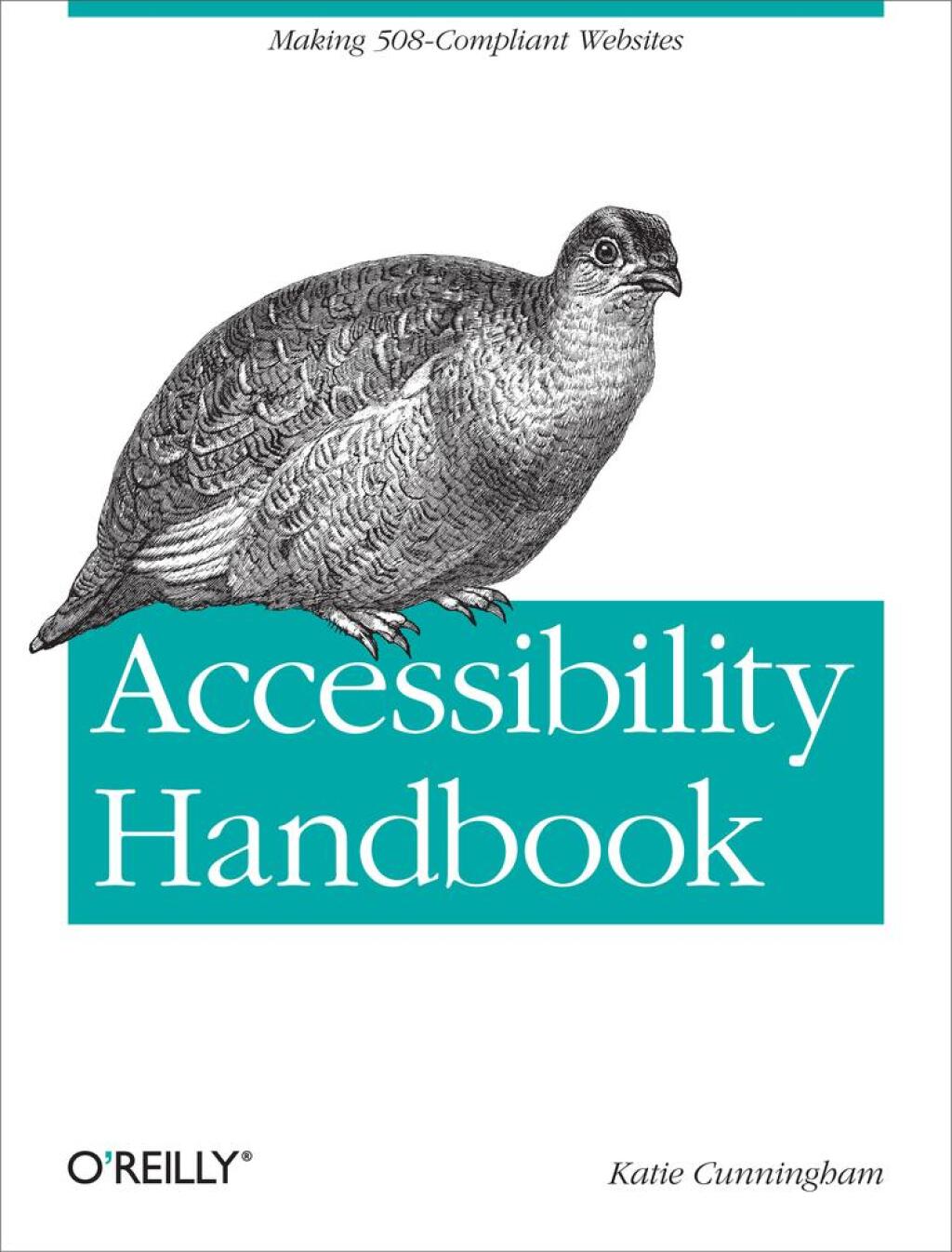 Accessibility Handbook Making 508 Compliant Websites 1st Edition
