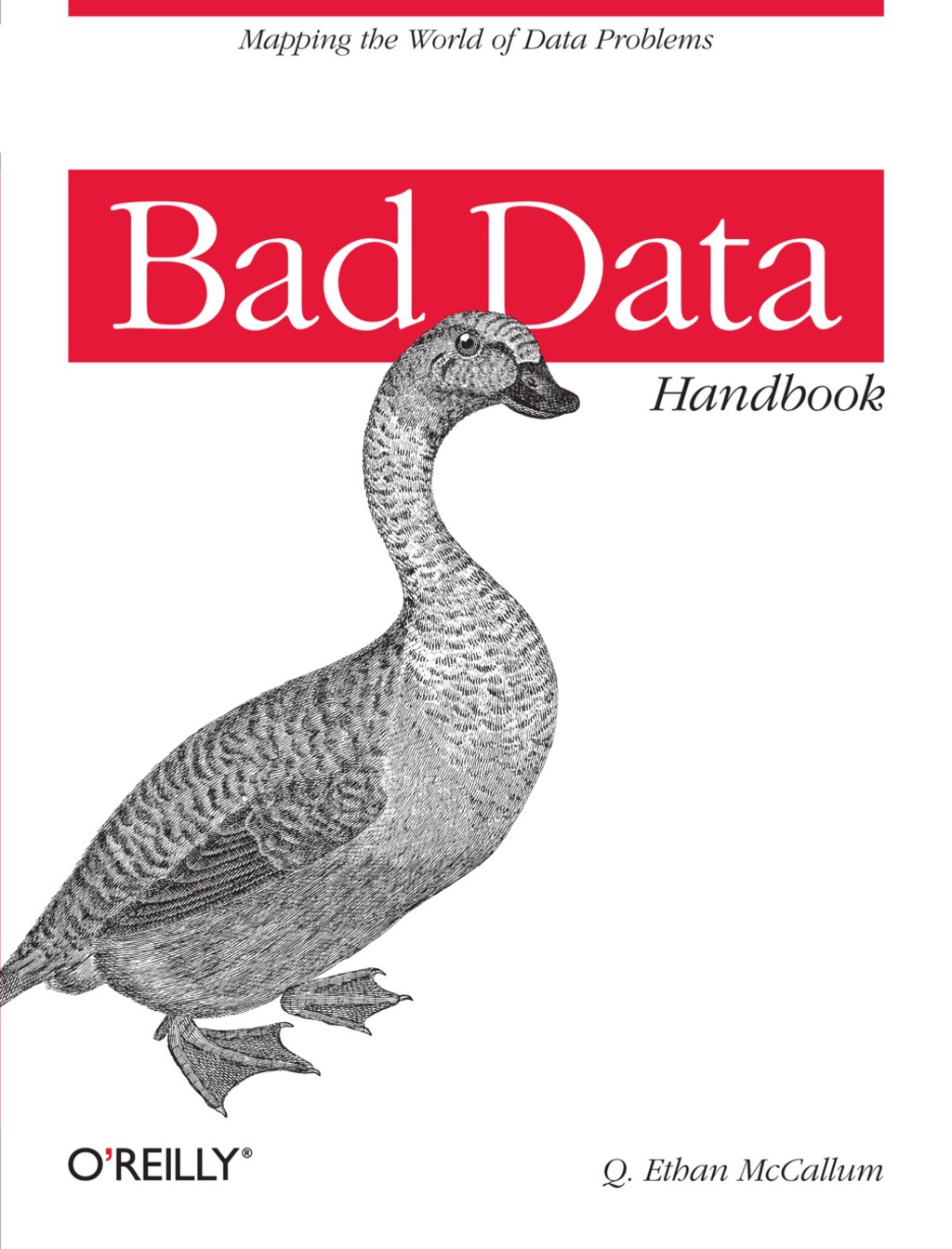 Bad Data Handbook Cleaning Up The Data So You Can Get Back To Work 1st Edition