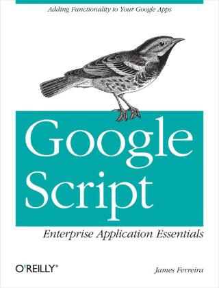صورة الغلاف: Google Script: Enterprise Application Essentials 1st edition 9781449318529