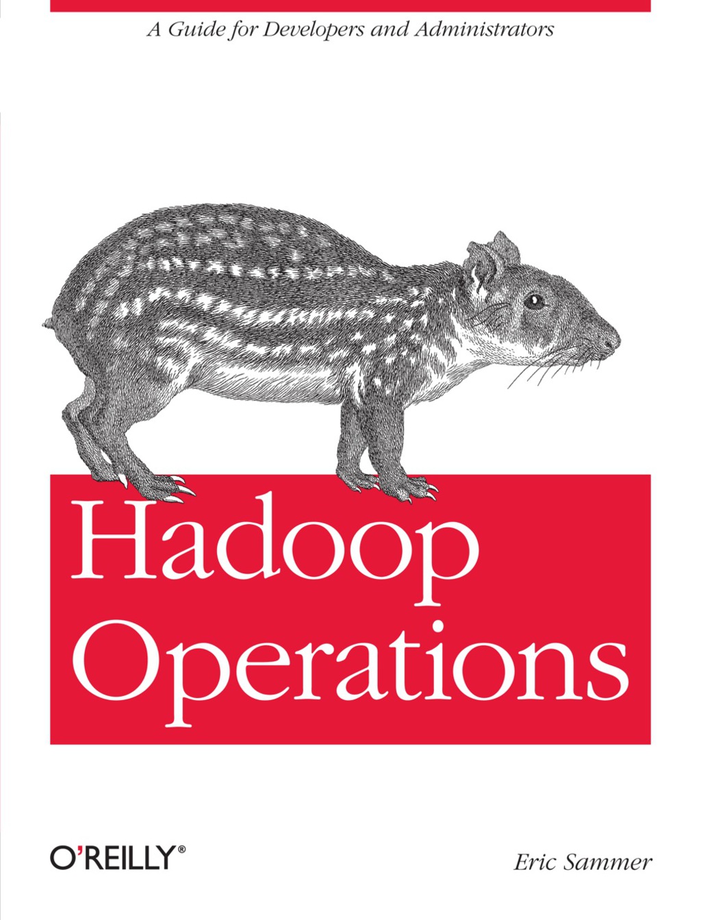 Hadoop Operations A Guide for Developers and Administrators 1st Edition