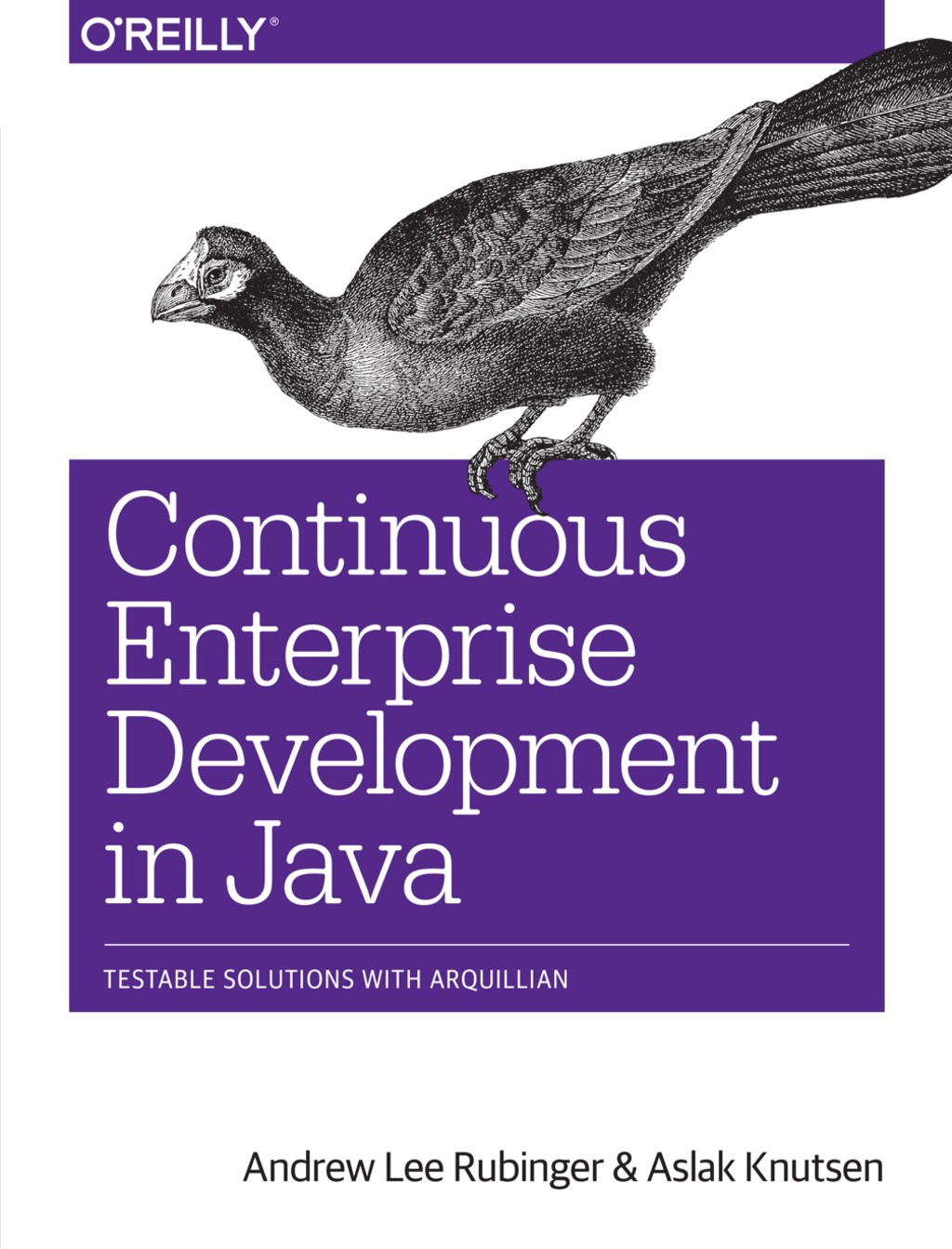 Continuous Enterprise Development in Java - 1st Edition (eBook)