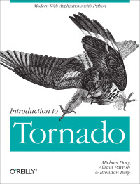 Immagine di copertina: Introduction to Tornado 1st edition 9781449309077