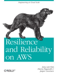 Cover image: Resilience and Reliability on AWS 1st edition 9781449339197