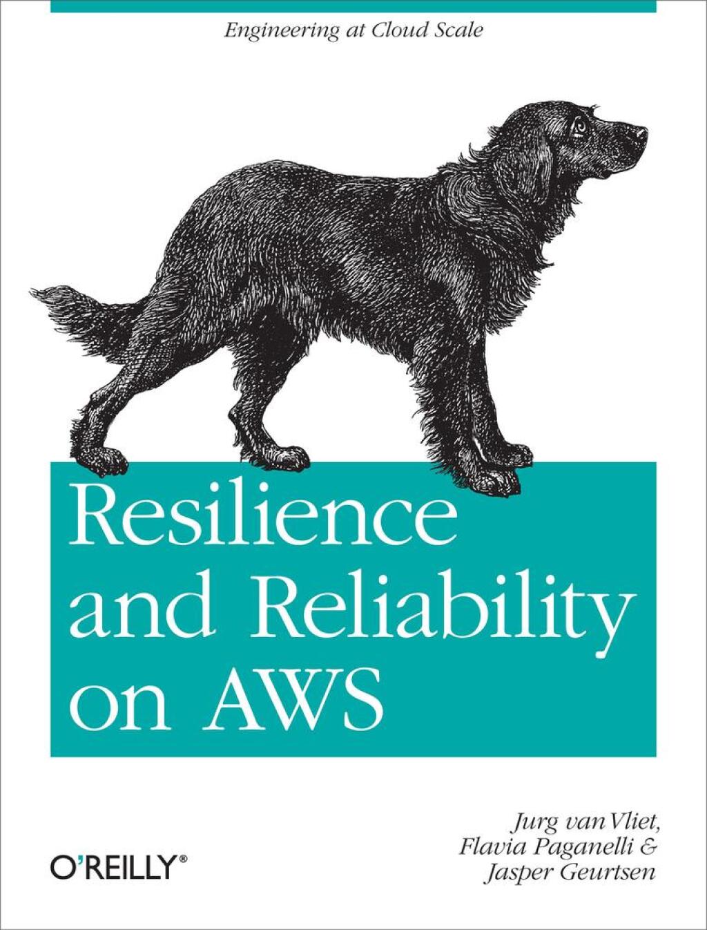 Resilience and Reliability on AWS Engineering at Cloud Scale 1st Edition