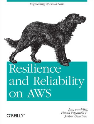 Cover image: Resilience and Reliability on AWS 1st edition 9781449339197