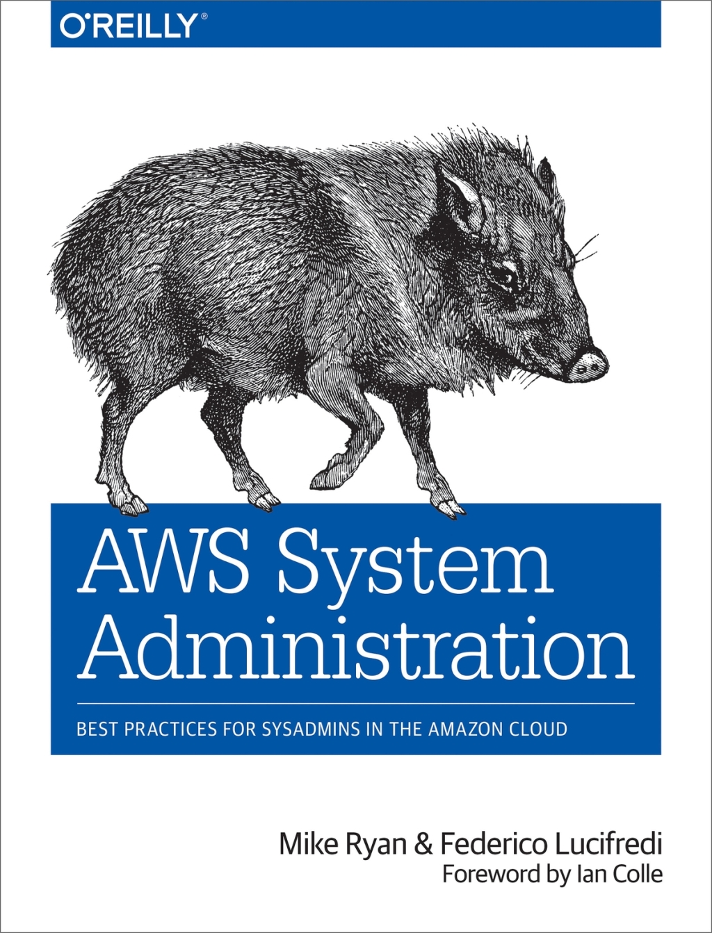 AWS System Administration Best Practices for Sysadmins in the Amazon Cloud 1st Edition