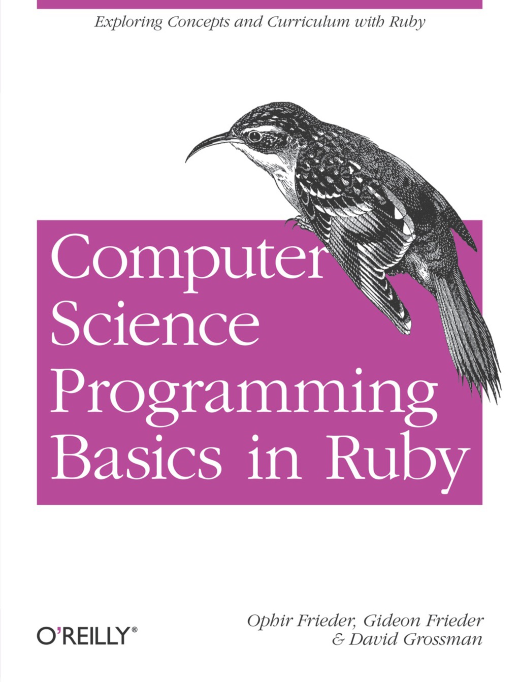Computer Science Programming Basics in Ruby - 1st Edition (eBook)