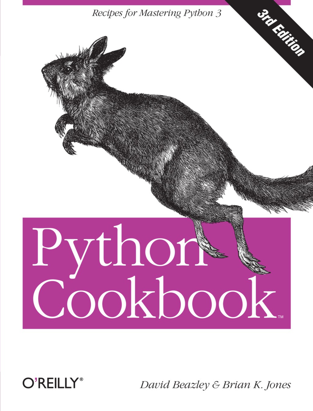 Python Cookbook Recipes for Mastering Python 3 3rd Edition
