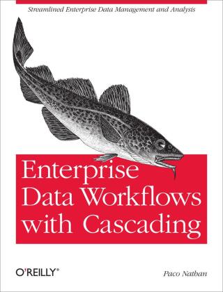 Titelbild: Enterprise Data Workflows with Cascading 1st edition 9781449358723
