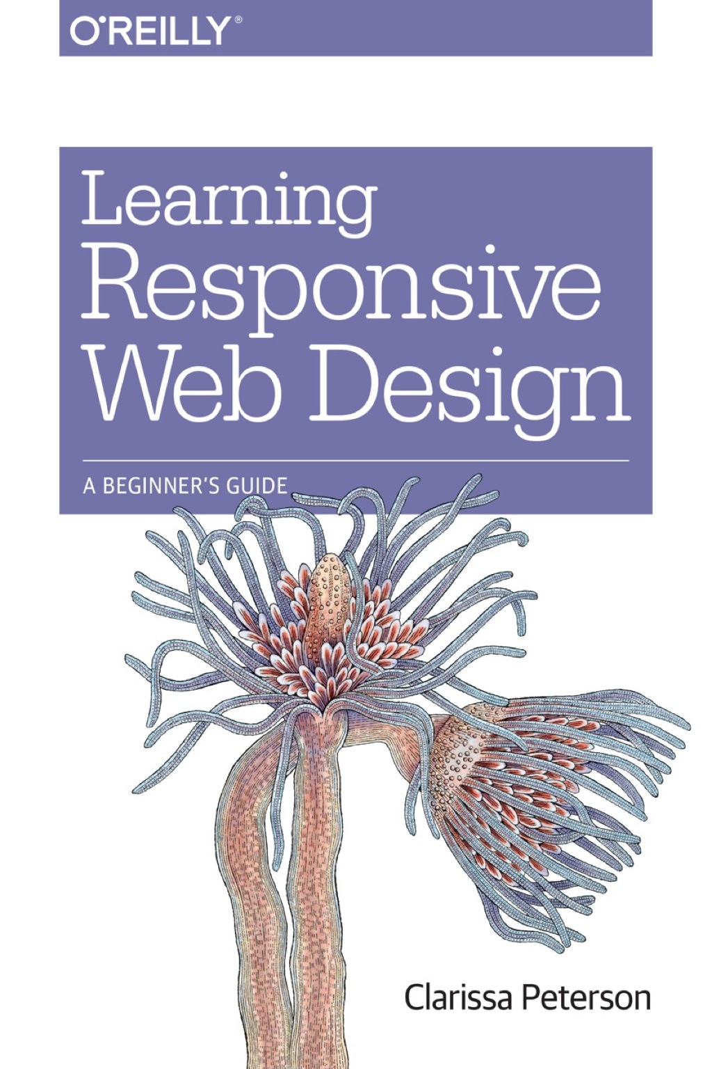 Learning Responsive Web Design 1st Edition