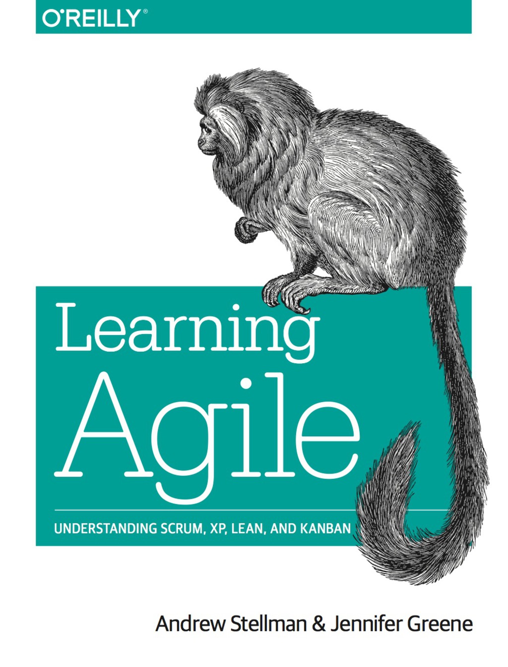 Learning Agile Understanding Scrum, XP, Lean, and Kanban 1st Edition