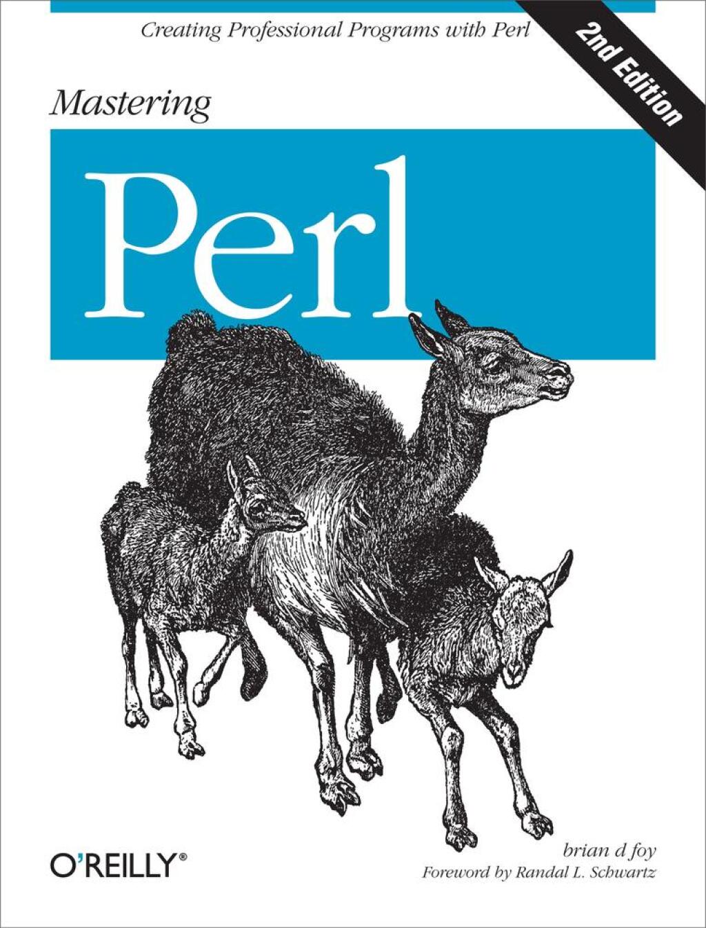 Mastering Perl Creating Professional Programs with Perl 2nd Edition
