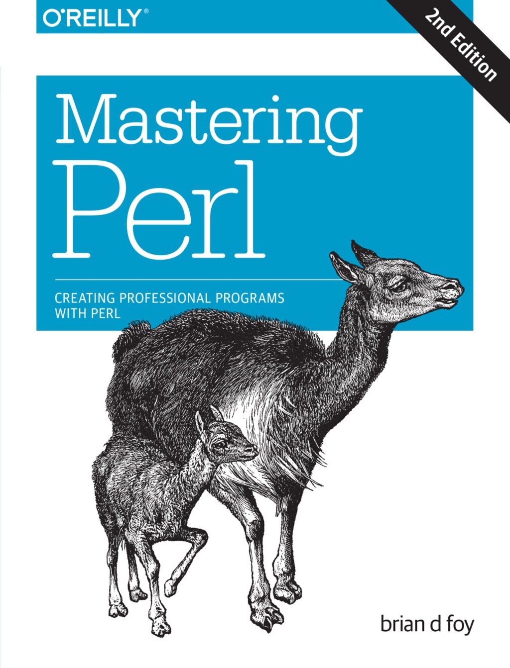 Mastering Perl Creating Professional Programs with Perl 2nd Edition