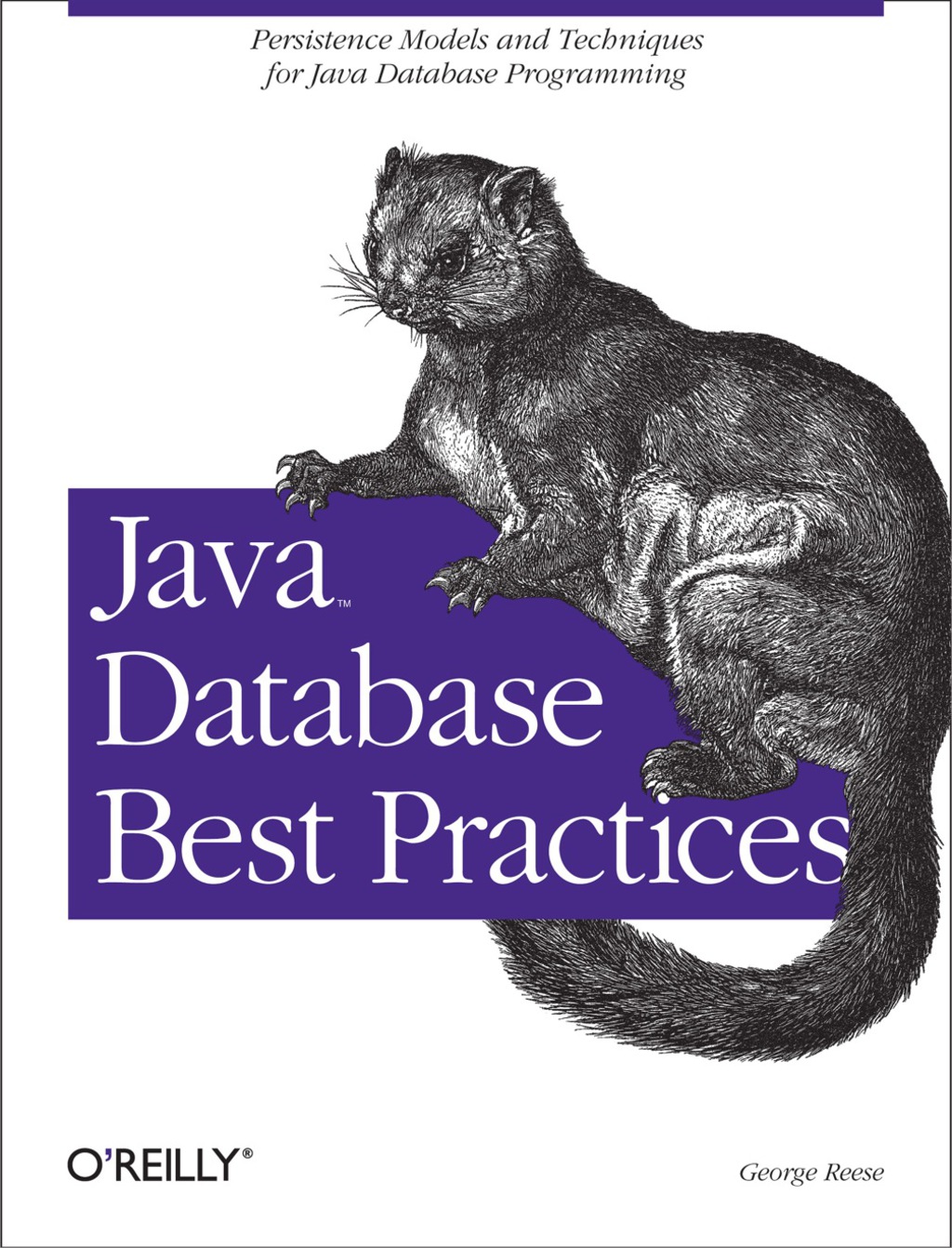 Java Database Best Practices - 1st Edition (eBook)