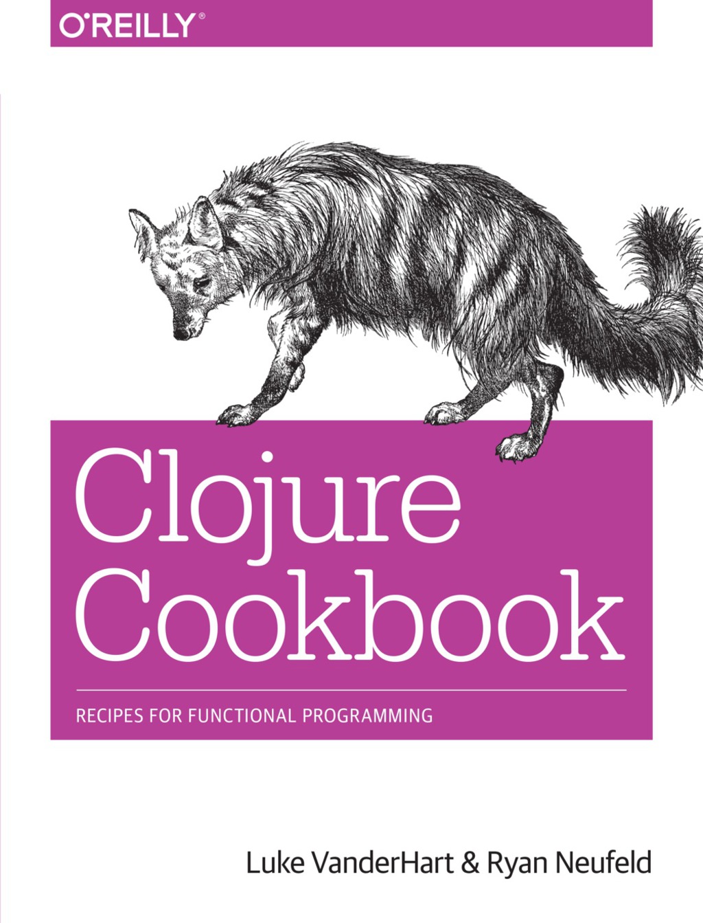 Clojure Cookbook Recipes for Functional Programming 1st Edition