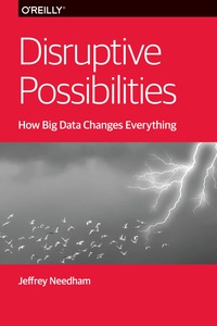 صورة الغلاف: Disruptive Possibilities: How Big Data Changes Everything 1st edition 9781449369675