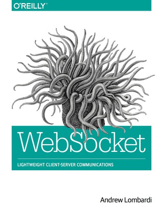 Cover image: WebSocket 1st edition 9781449369279