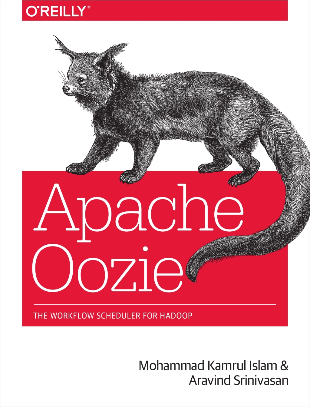 Apache Oozie The Workflow Scheduler for Hadoop 1st Edition