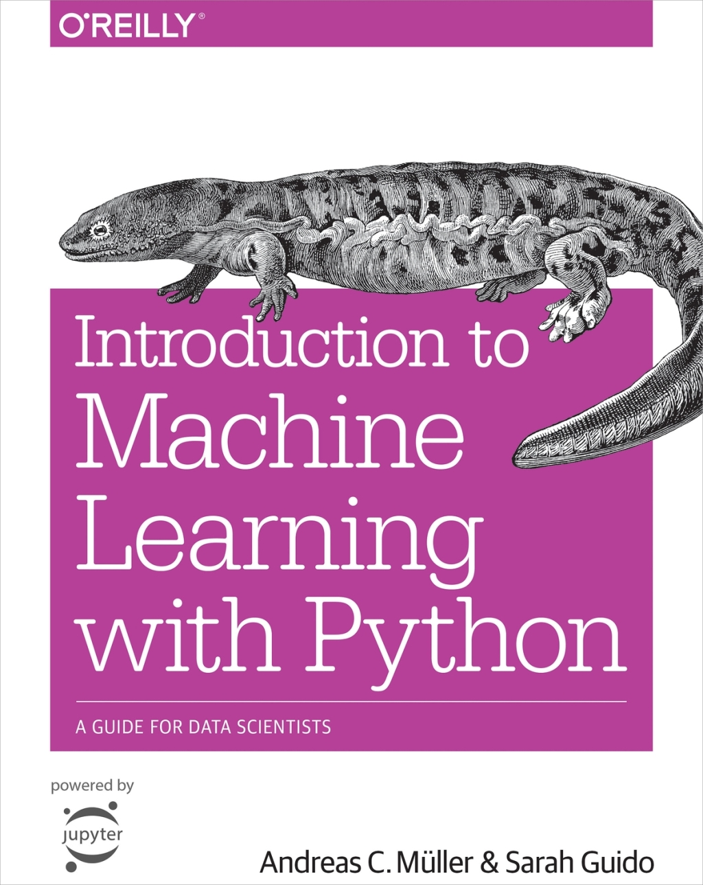 Introduction to Machine Learning with Python - 1st Edition (eBook)