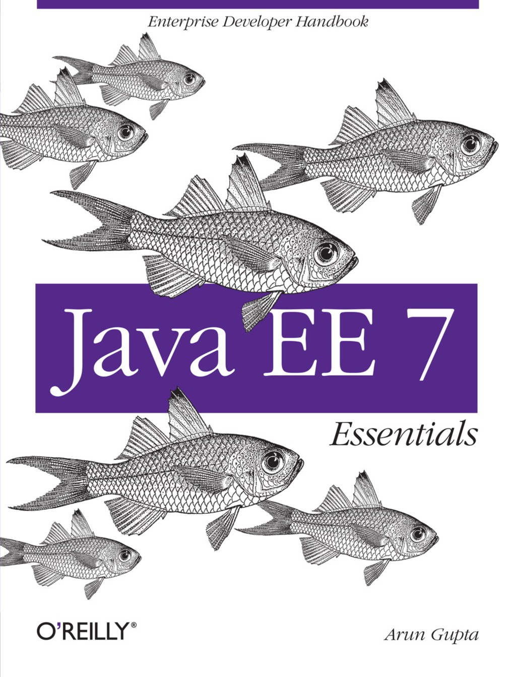 Java EE 7 Essentials - 1st Edition (eBook)