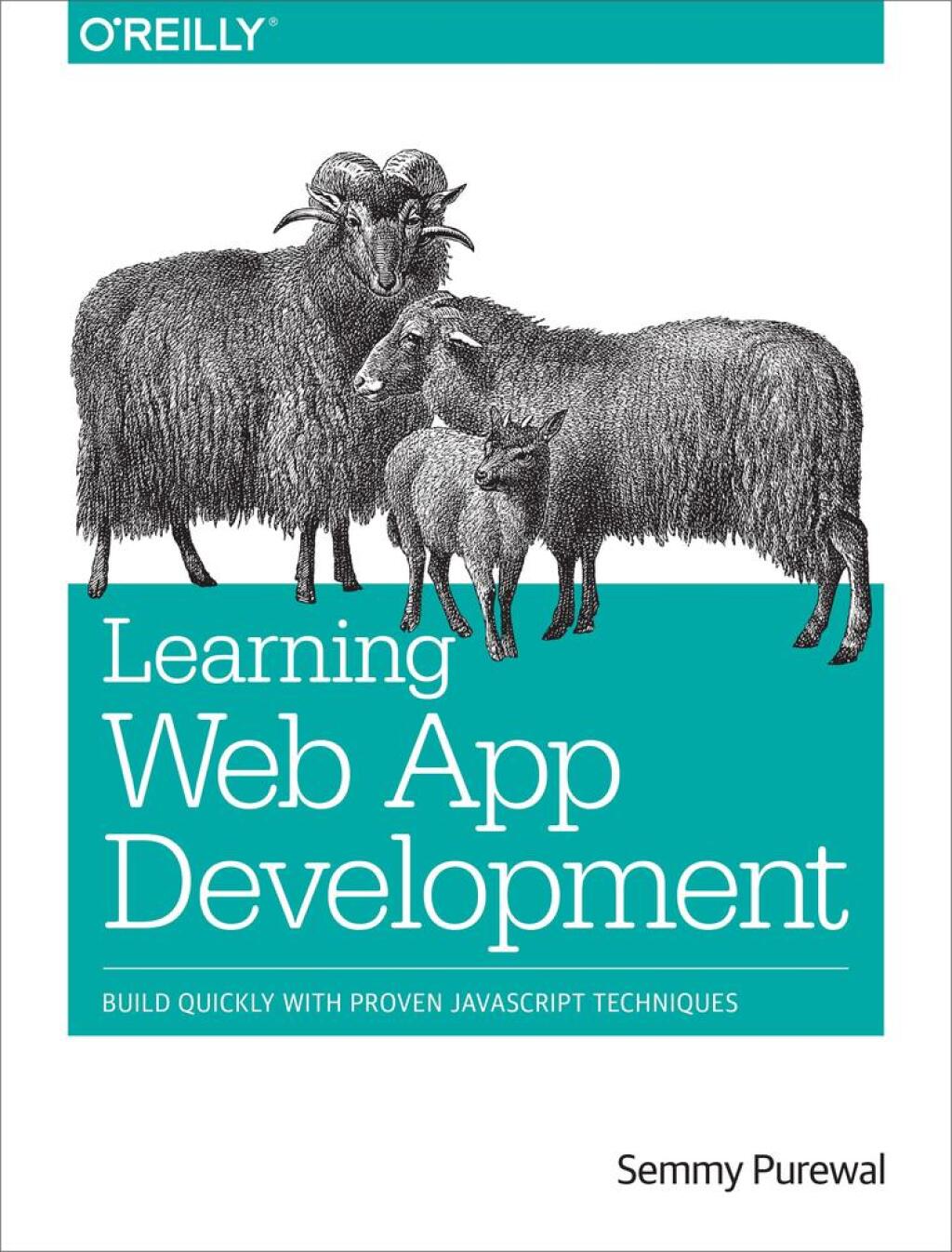 Learning Web App Development Build Quickly with Proven JavaScript Techniques 1st Edition