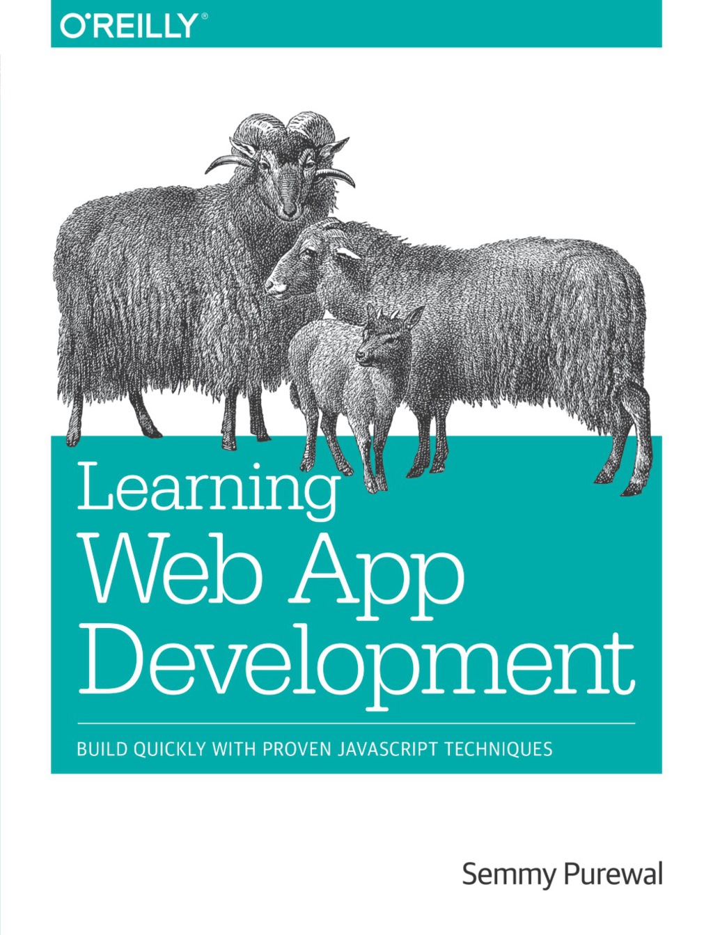 Learning Web App Development Build Quickly with Proven JavaScript Techniques 1st Edition
