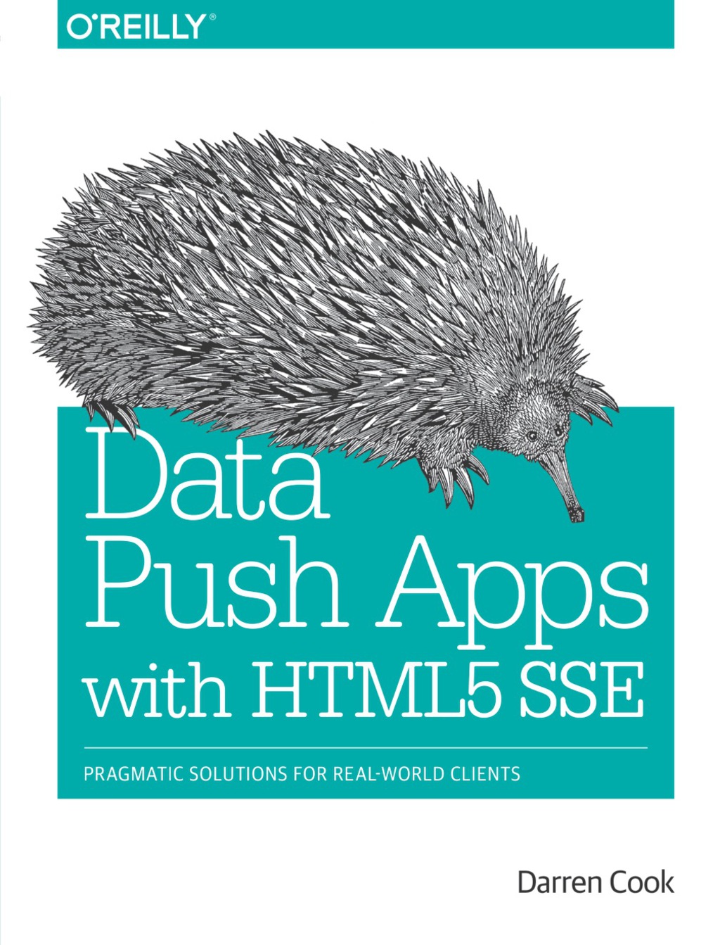 Data Push Apps with HTML5 SSE Pragmatic Solutions for Real-World Clients 1st Edition